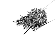 Drawing 259047