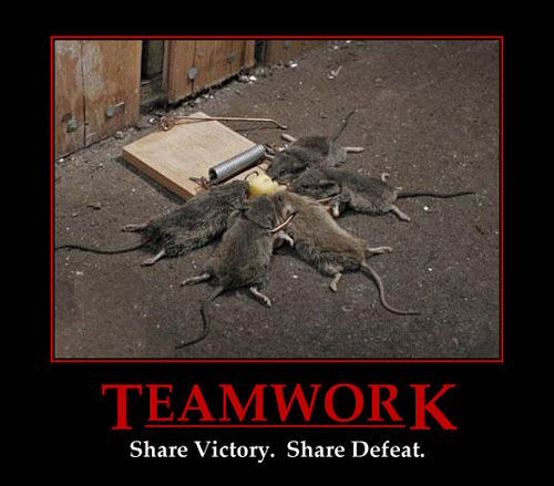 Team-Work.jpg