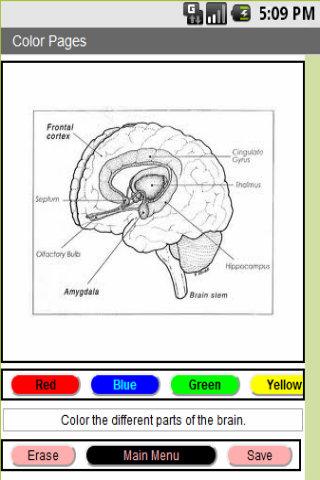 【免費教育App】Anatomy and Physiology Quiz-APP點子