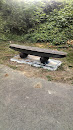 Reflection Park Bench