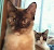 User profile picture thumbnail