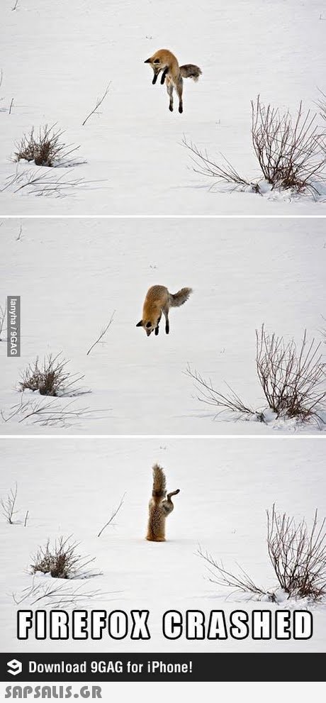 FOREFOX CRASHED Download 9GAG for iPhone! 