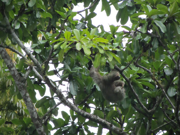 Spotting Image 1