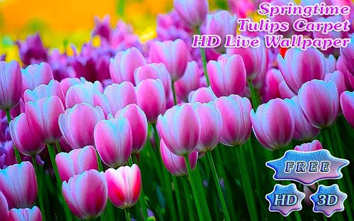 How to download Aroma of Tulips Carpet Bloom patch 1.6.2 apk for android