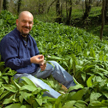 Food Foraging in London with Masterchef Mat Follas - Can wild food be found in London ? 