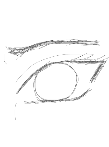 Eye