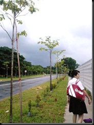 Photo0040