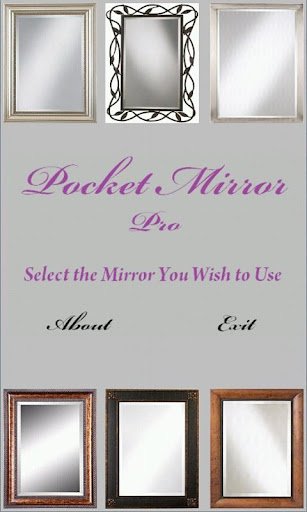 Pocket Mirror Pro