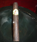 DSC02516.JPG