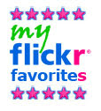 My Flickr Favorites