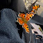 Satyr Comma