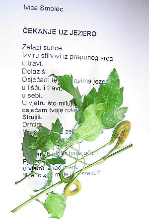 Čekanje uz jezero