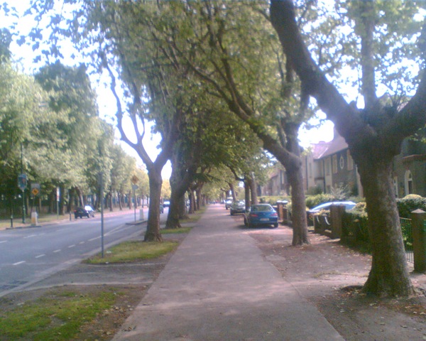 [Image01011.jpg]