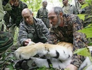 [putin tiger 1[5].jpg]
