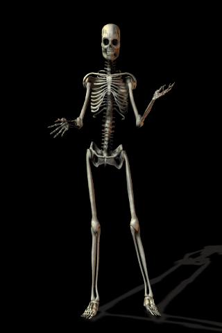 skeleton james