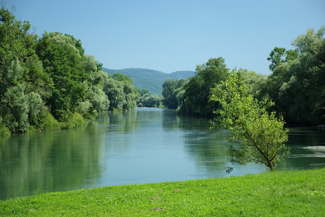 Slika
