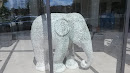 Elephant Du Port
