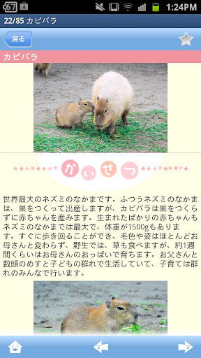 【免費書籍App】赤ちゃん動物図鑑100-APP點子