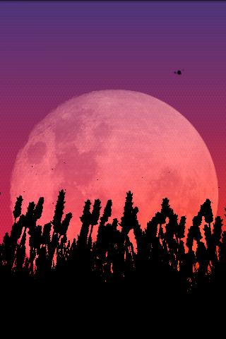 【免費個人化App】Lavender Field Live Wallpaper-APP點子