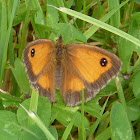 Gatekeeper