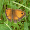 Gatekeeper
