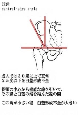 柔道整復学 ポケジュウ 基礎アプリ