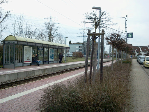 Viermorgen S Bahn 