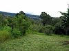 Lote Heredia 1 Birri