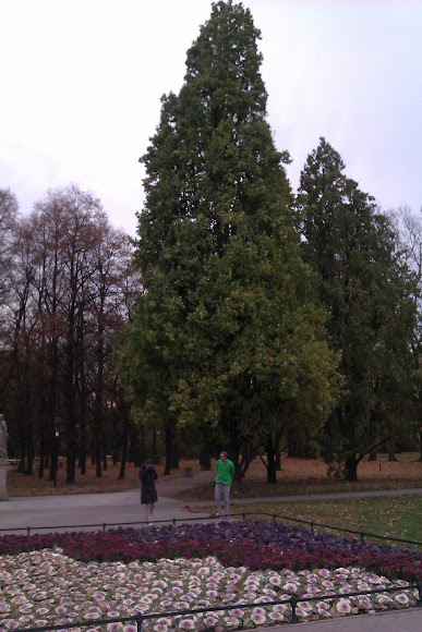 Spotting Image 1