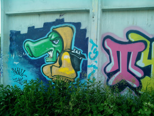 Tyk Grafiti