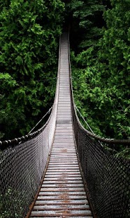 How to mod Bridge wallpaper 1.0 mod apk for android