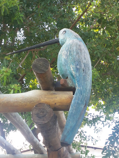 Pica Pau Azul