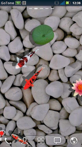 3D Koi Pond Reality Live Wallp