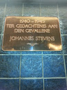 Johannes Stevens