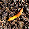 Slug