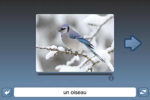 【免費教育App】NounStar Learn French - Free-APP點子