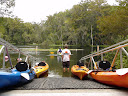 Marion Springs Festival at Silver River State Park