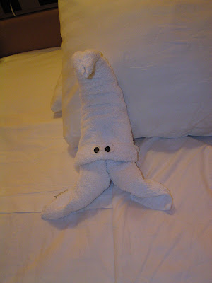 towel2