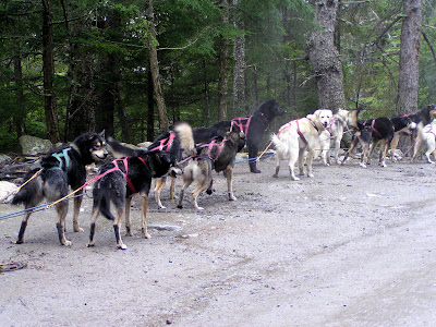 on lead