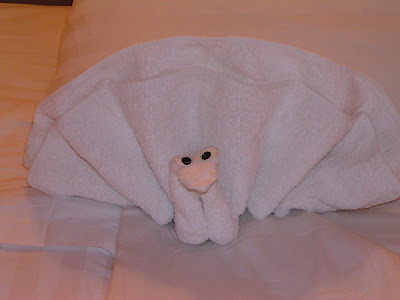 towel3