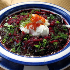 Spoil the Son-In-Law Borshch