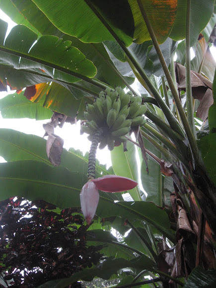 Spotting Image 1