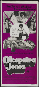 Cleopatra Jones (1973, USA) movie poster