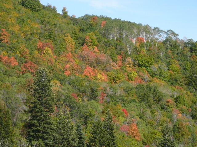 [Alpine Loop September 2008[5].jpg]
