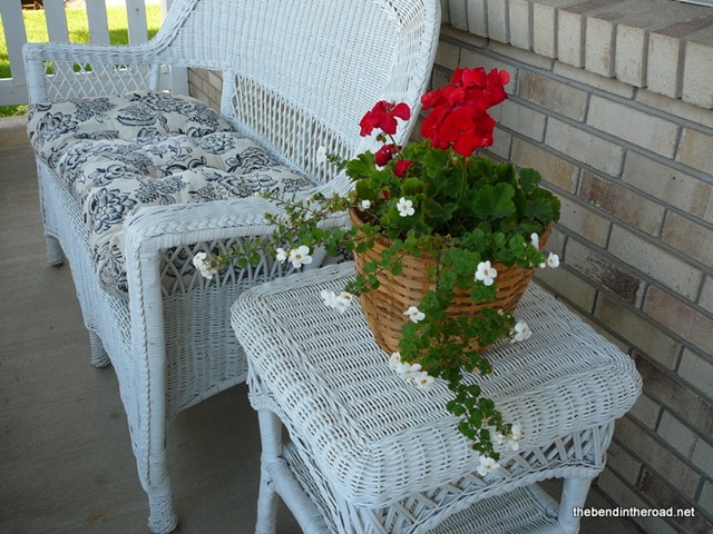 [geraniums in September[4].jpg]