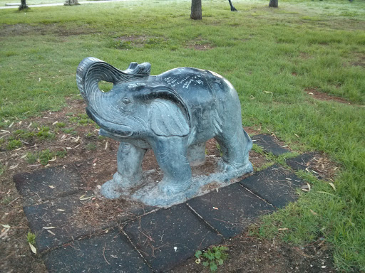 L'Elefante