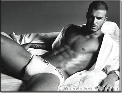 david