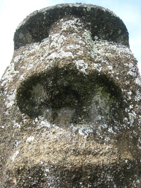 [IMG_8500.JPG]