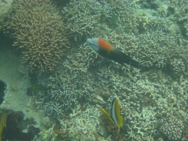 [IMG_9333.JPG]