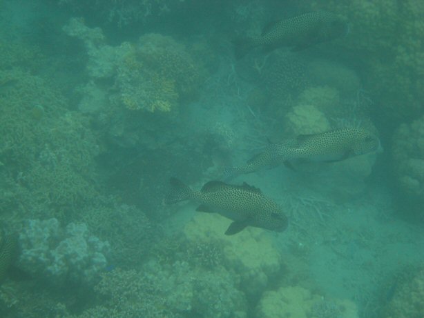 [IMG_9336.JPG]